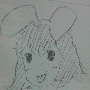 sample1